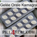 Gelée Orale Kamagra 07